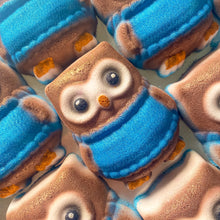 Load image into Gallery viewer, Cosy Owl Bath Bomb