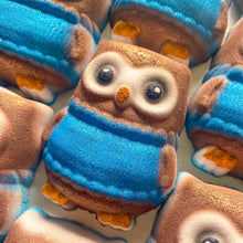 Load image into Gallery viewer, Cosy Owl Bath Bomb