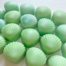 Load image into Gallery viewer, Seychelles Wax Melts Pack Of 4