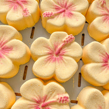 Load image into Gallery viewer, 10 ALOHA! Bath Bombs