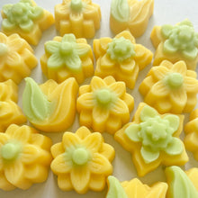 Load image into Gallery viewer, Ylang Ylang Wax Melts Pack Of 4