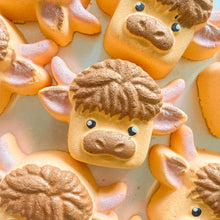 Load image into Gallery viewer, Highland Cow Bath Bomb
