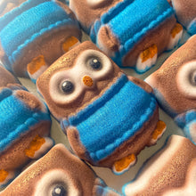Load image into Gallery viewer, Cosy Owl Bath Bomb
