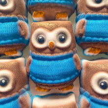 Load image into Gallery viewer, Cosy Owl Bath Bomb
